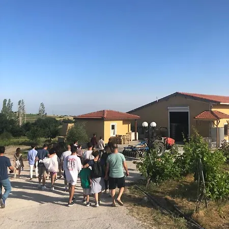 Dessera Vineyards